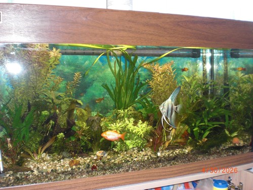 Aquarium komplett 100l - komplett,