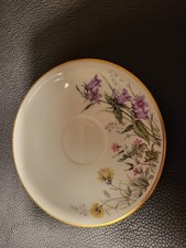 K &A Krautheim Selb Bavaria Wiesengrund Bergeshöhn  2 Untertassen Scene H