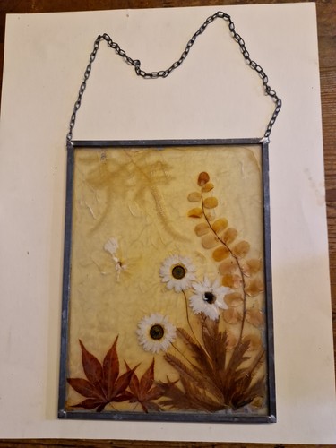Fensterbild glasbild - fensterbild,