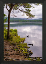 Cairngorms Nationalpark