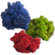 Islandmoos Rentiermoos echtes konserviertes Moos - 11 Farben - 450 Gramm Karton