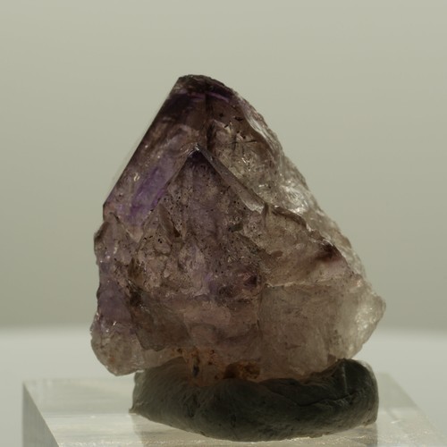Seltene phantom skelett - seltene,