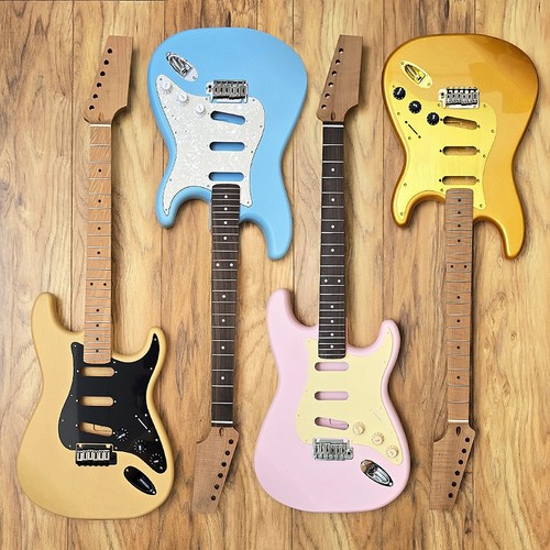 Guitar anatomy elite - anatomy,