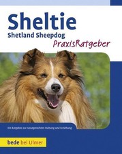 Sheltie ~ Charlotte Schwartz ~