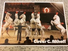 Circus Carl Althoff Plakat