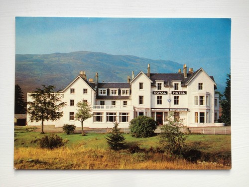 The royal hotel - royal,