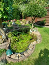 gartenteich-komplett