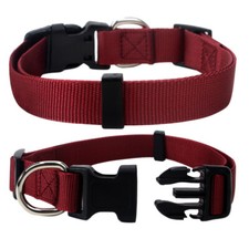 Hundehalsband Nylon Halsband