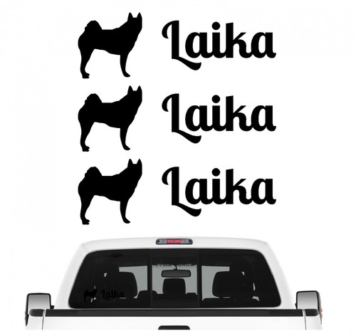 Laika russland spitze - russland,