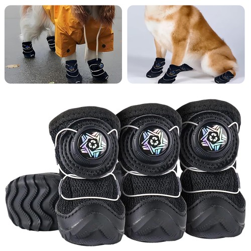 Hundeschuhe stück - hundeschuhe,