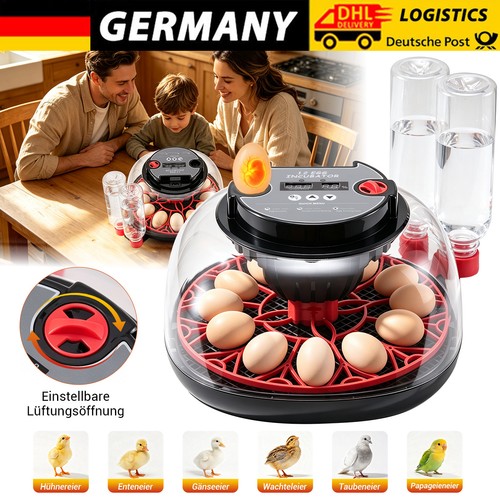 Eier brutautomat - eier,