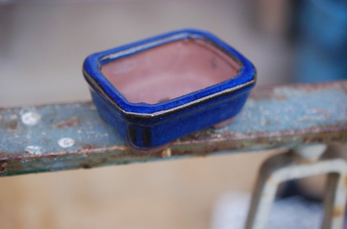Mini bonsaischale - ,