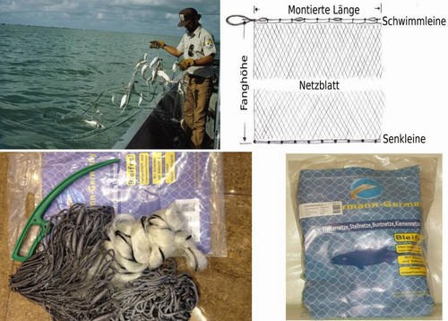 Stellnetz,Fischnetz,Spiegelnet