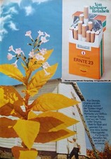 Ernte 23 Filter Zigaretten