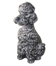 Gray Poodle Dog Sitting Pudel