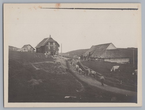 Feldberg schwarzwald 1917 - 1917,