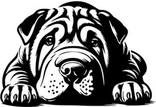 SHAR-PEI Aufkleber -