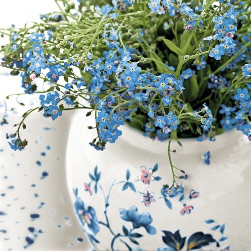 Servietten forget not - 20,