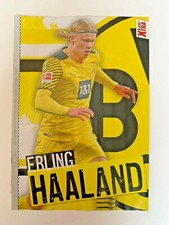 ERLING HAALAND BORUSSIA