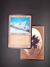 MTG - Taiga - Magic Card -