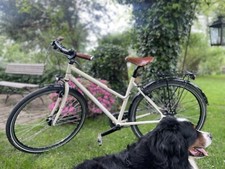 Neuwertiges Damenrad Contoura Farbe: Elfenbein Rahmengrösse 50  Brooks Sattel