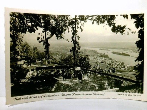 Rüdesheim rhein niederwald - rhein.,