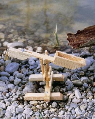 Kraul schnepfe die - schnepfe,,
