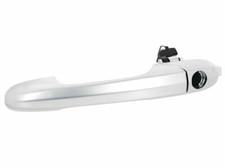 Türgriff Griff Außen LINKS