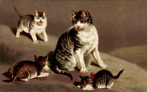 Künstler katzenmutter mit - künstler, ak
