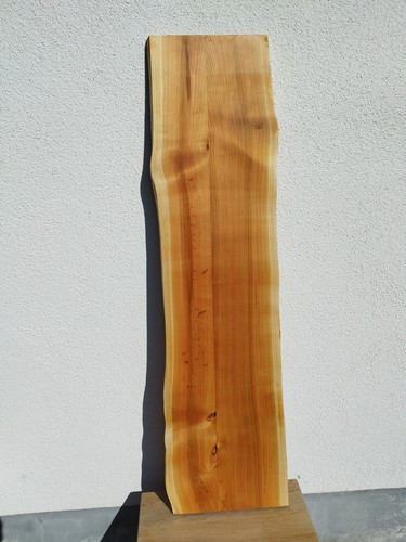 Kirschbaum