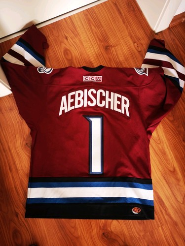 David aebischer colorado - #1,