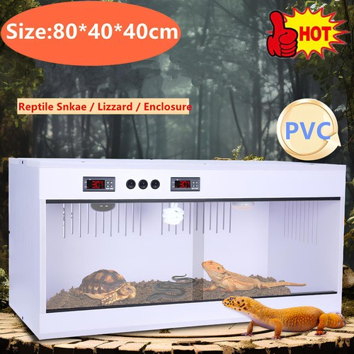 Reptilien zuchtbox reptile - reptilien-zuchtbox,