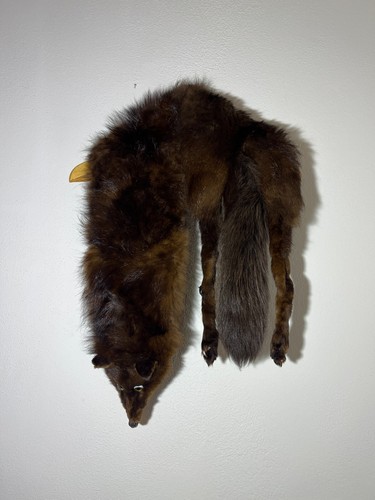 Pelzkragen stola aus echtfuchs - stola,