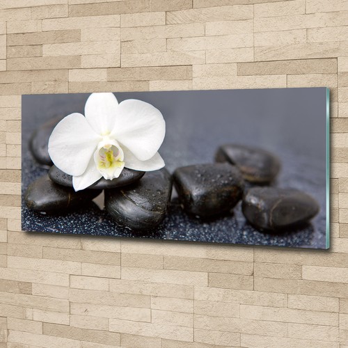 Glas bild wandbilder druck auf - glas-bild,