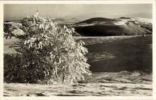 Ak Wildflecken in der Rhön