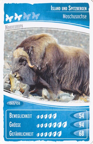 Netto ozeanien - , "