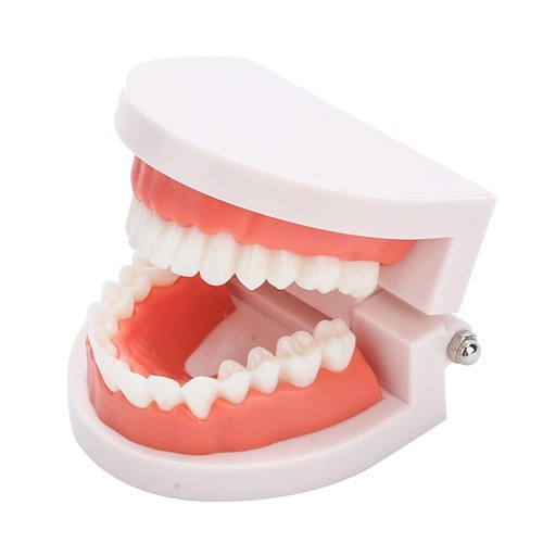 Zahnprothese zahnfleisch - zahnprothese,