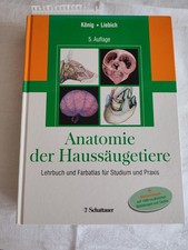 Anatomie der Haussäugetiere