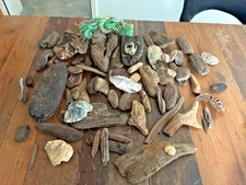 60 Teile Schwemmholz Treibholz