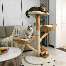 Echt Holz Modern Katzenbaum