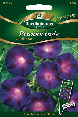 Prunk winde grandpa ott - prunk-winde,
