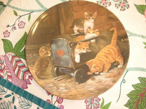 Sammelteller katzen seltmann - sammelteller,