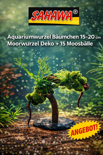 Aquarium wurzel bäumchen - aquarium,