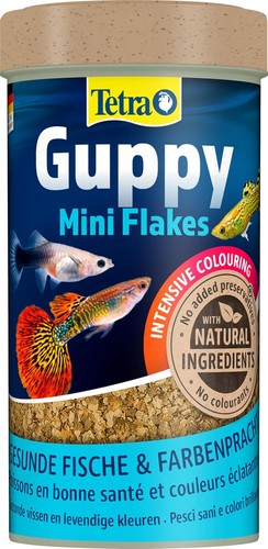 Tetra guppy mini - guppy,