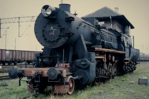 Dia 7175 malbork polen - bw, malbork,