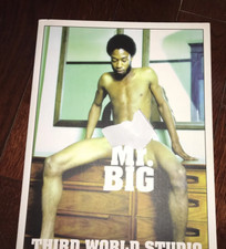 Mr. Big: Third World Studio