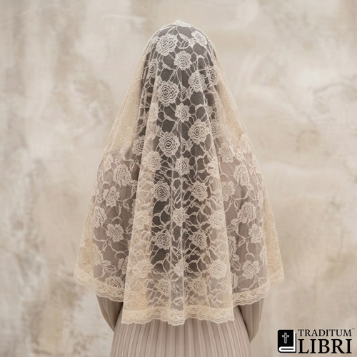 Beige lace chapel veil - beige,