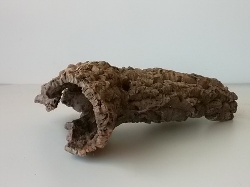 Schöne korkröhre mit - schöne, uriger