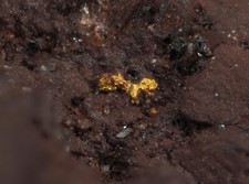 Gold, Gold ged., Schiffskuppe