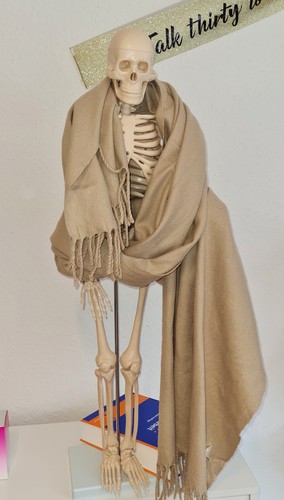 Rong jia schal aus kaschmir - jia,
